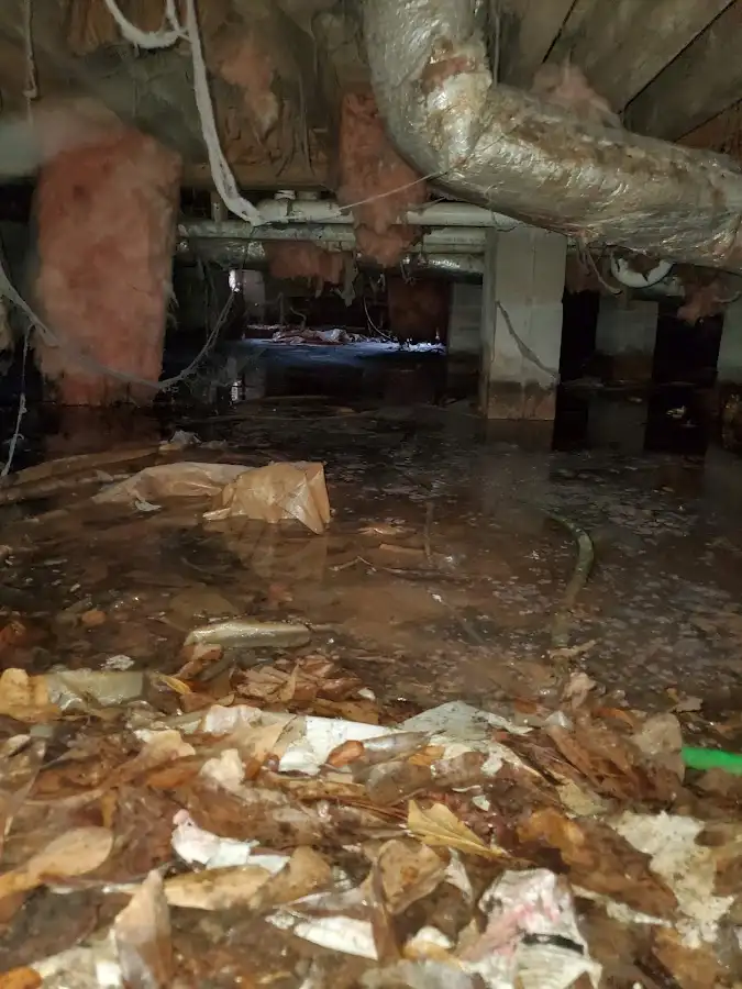 Crawl space flood assessment for Leak Detection & Repair in Parkwood